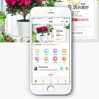 朝阳门店微商城小程序开发