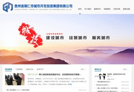 朝阳城市开发投资集团有限公司