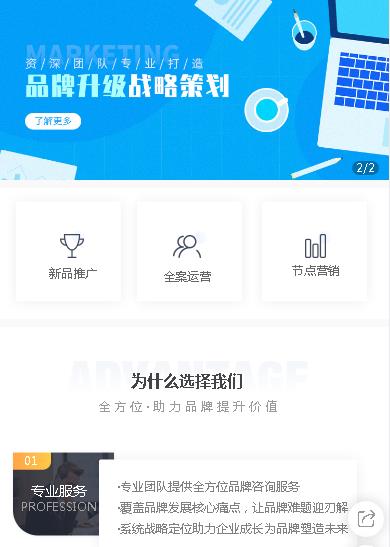 朝阳咨询策划小程序开发