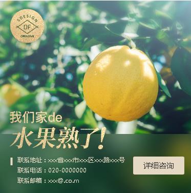 朝阳果园果林小程序开发